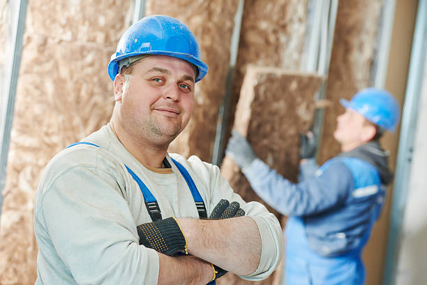 Thermal Imaging for Insulation Gaps in Sheldon, IL